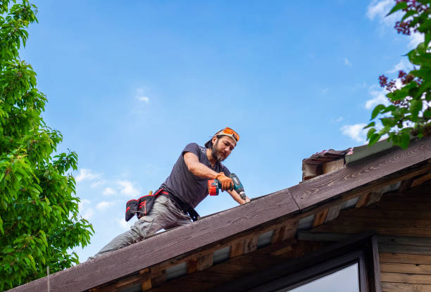 Best Chimney Flashing Repair  in Lincolnia, VA