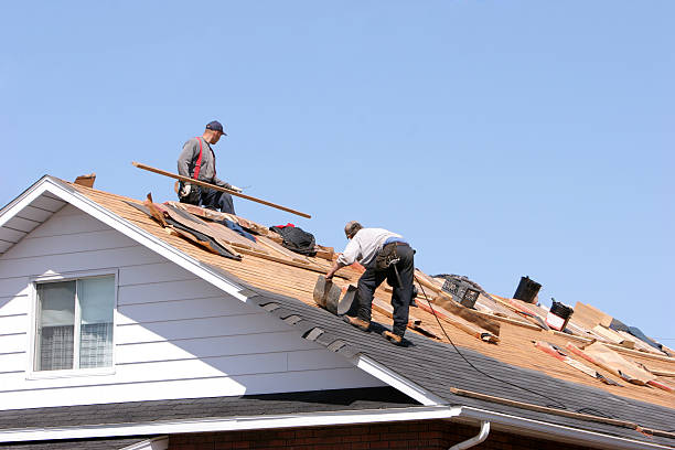 Best Roof Coating and Sealing  in Lincolnia, VA